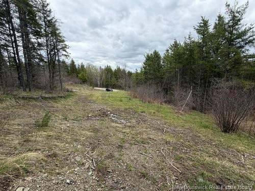 Lot Turkey Trail, Elgin, NB 