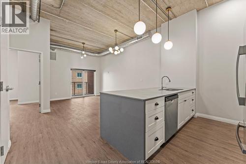 3160 Meadowbrook Lane Unit# 310, Windsor, ON - Indoor Photo Showing Kitchen