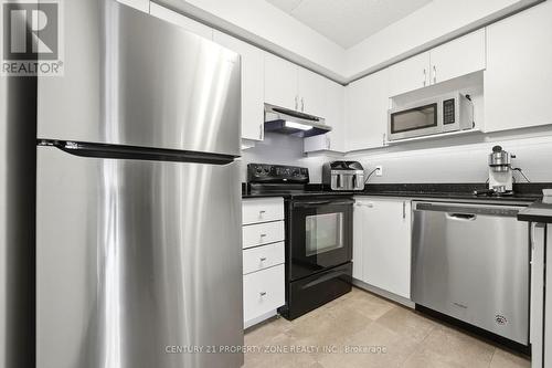 306 - 1440 Bishops Gate, Oakville, ON - Indoor Photo Showing Kitchen