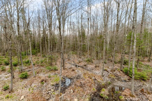 Cour - 148 Ch. Du Roi, Saint-Hippolyte, QC - Outdoor With View