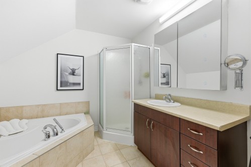 Bathroom - B-729 Rue Principale, Saint-Sauveur, QC - Indoor Photo Showing Bathroom