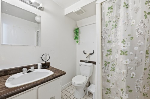 Autre - 6315 Av. Pinard, Saint-Hyacinthe, QC - Indoor Photo Showing Bathroom