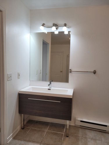 Bathroom - 1420-7680 Boul. Marie-Victorin, Brossard, QC - Indoor Photo Showing Bathroom