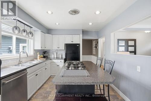 31 Algonquin Avenue, Hamilton, ON - Indoor Photo Showing Kitchen With Double Sink