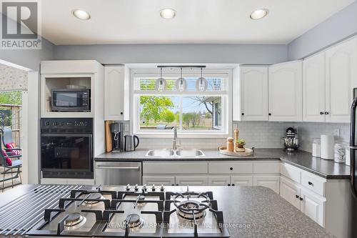 31 Algonquin Avenue, Hamilton, ON - Indoor Photo Showing Kitchen With Double Sink