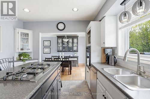 31 Algonquin Avenue, Hamilton, ON - Indoor Photo Showing Kitchen With Double Sink