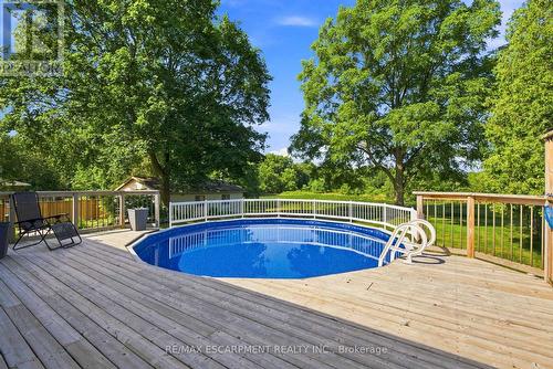 31 Algonquin Avenue, Hamilton, ON - Outdoor With Above Ground Pool With Backyard