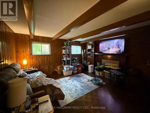 357 Monica Crescent, Burlington, ON - Indoor Photo Showing Other Room With Fireplace