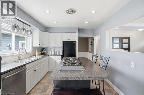 31 Algonquin Avenue, Flamborough, ON - Indoor Photo Showing Kitchen With Double Sink