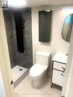 Lower Apartment 3 pc bath - 