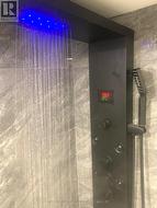 State of the Art Shower/spa - 
