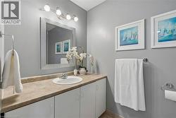 Lower level bathroom - 