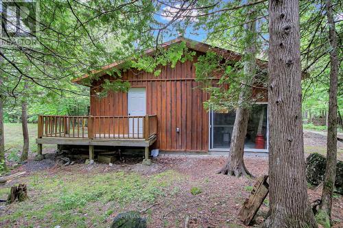 2nd Dwelling \"Bunkie\" - 828 Ashby Road, Lanark Highlands, ON - Outdoor With Deck Patio Veranda