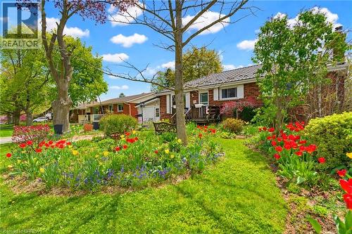 12 Mccammon Street, Paris, ON - Outdoor