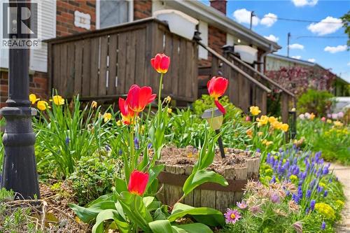 12 Mccammon Street, Paris, ON - Outdoor
