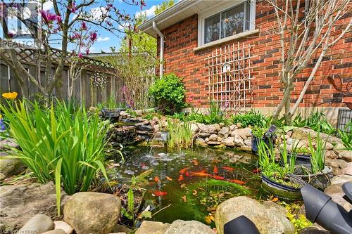 12 Mccammon Street, Paris, ON - Outdoor