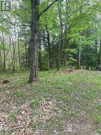 3460 HARBURN ROAD Dysart Et Al, ON K0M 1M0