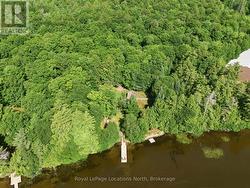 Aerial View - Summer - 
