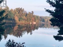 2 - 1112 SAM COOK ROAD Gravenhurst (Ryde), ON P1P 1R3