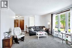Living area featuring light brown carpeting, white walls, and a large multi-pane window with dark trim - 