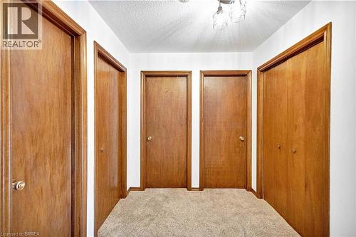 Hallway with carpet flooring and multiple wood-finish doors - 16 Sandlewood Avenue, Brantford, ON - Indoor
