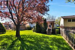 Expansive rear yard featuring a red-leaf tree, lush green lawn, and a wooden fence - 