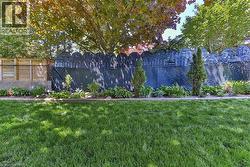 Expansive lawn area featuring a decorative dark-toned fence with an arched top design - 