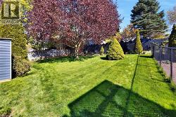 Expansive lawn area featuring a mature tree with red foliage - 
