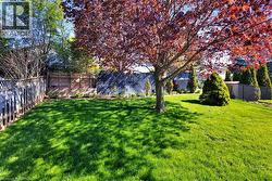 Expansive lawn area featuring a mature tree with vibrant red foliage, partial wood fencing, and additional landscaping - 
