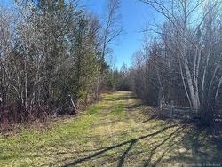 11.98 Acres Chemin Tremblay  Tremblay, NB E8J 1A6