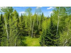 Lot Newburg Road  Woodstock, NB E7N 1N5