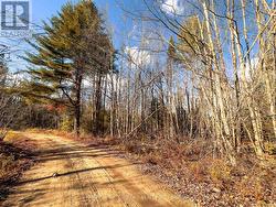 0 WEISMULLER LANE Bracebridge (Draper), ON P1P 1R3