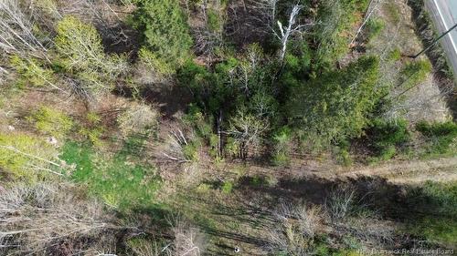Lot Route 126, Harcourt, NB 