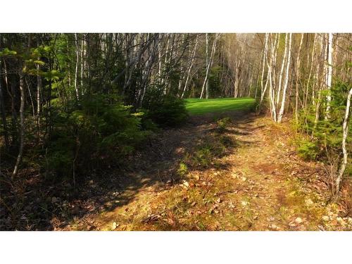 Lot Route 126, Harcourt, NB 