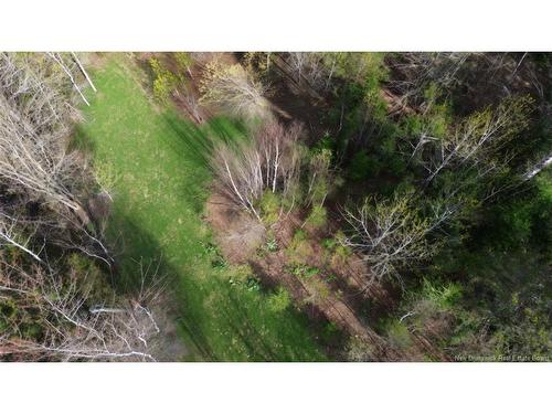 Lot Route 126, Harcourt, NB 
