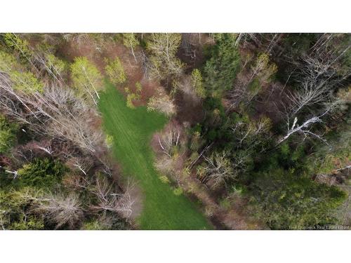 Lot Route 126, Harcourt, NB 