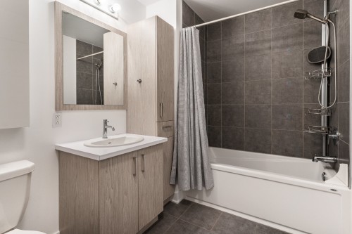 Salle de bains - 1829 Rue Lepailleur, Montréal (Mercier/Hochelaga-Maisonneuve), QC - Indoor Photo Showing Bathroom