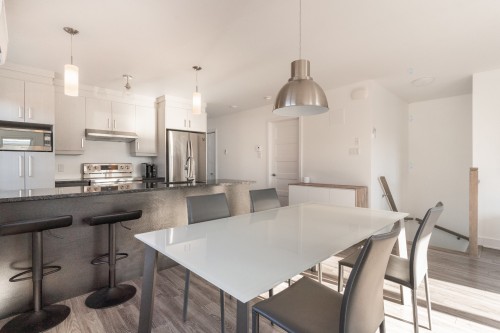 Cuisine - 1829 Rue Lepailleur, Montréal (Mercier/Hochelaga-Maisonneuve), QC - Indoor Photo Showing Kitchen With Upgraded Kitchen