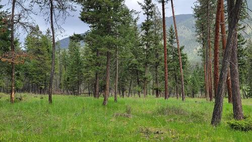 1 Highway 93, Grasmere, BC 