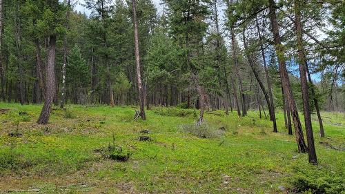 1 Highway 93, Grasmere, BC 