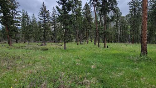 1 Highway 93, Grasmere, BC 
