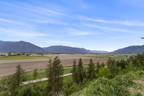 425 Ash Road, Creston, BC - Outdoor With View