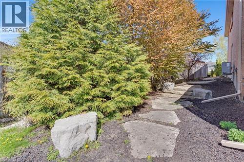667 Burnett Avenue, Cambridge, ON - Outdoor