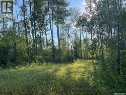 9 Northwood CRESCENT Big River Rm No. 555, SK S0J 0E0