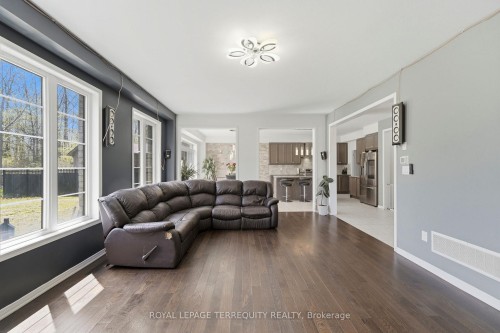 65 Cactus Crescent, Hamilton, ON - Indoor Photo Showing Living Room