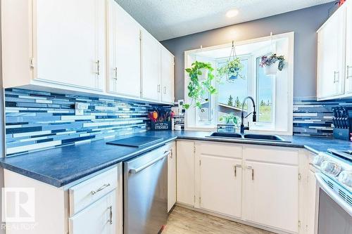 7012 44 Av Nw, Edmonton, AB - Indoor Photo Showing Kitchen With Double Sink