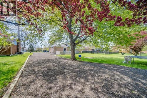 18 Campbell, Merlin, ON - Outdoor