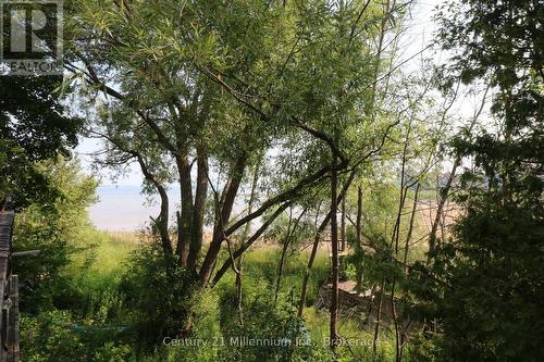 36 Lighthouse Lane E, Collingwood, ON - Outdoor With View