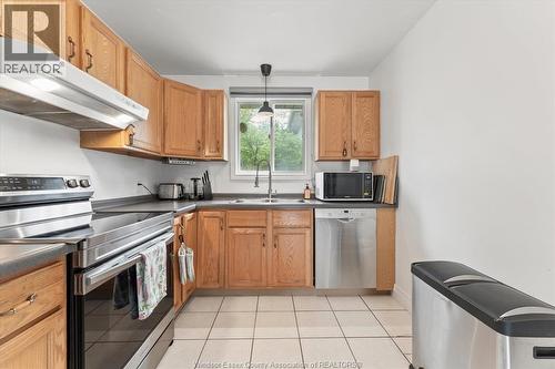 1736 Vicky Circle, Windsor, ON - Indoor Photo Showing Kitchen With Double Sink