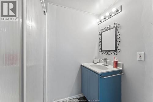 1736 Vicky Circle, Windsor, ON - Indoor Photo Showing Bathroom